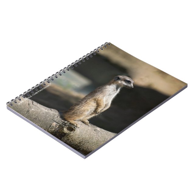 Cuaderno Suricata (Lado Izquierdo)