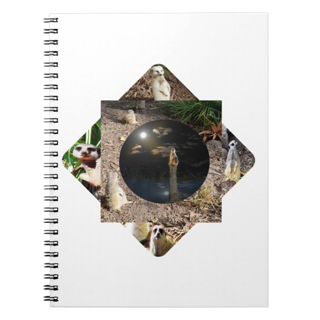 Cuaderno Suricata Polyscope,  (Frente)