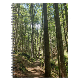 Cuaderno Susurros del bosque