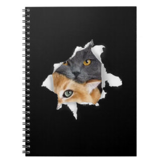 Cuaderno Sweet Kitten Couple | Gracioso regalo de Cat Lover