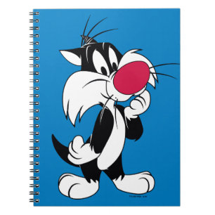 Cuaderno Sylvester Jr.   Pose clásico