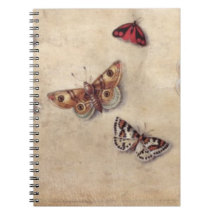 Cuaderno T31566 un estudio de diversos insectos, fruta y