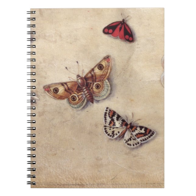 Cuaderno T31566 un estudio de diversos insectos, fruta y (Frente)