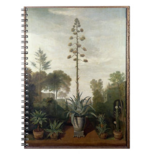 Cuaderno T33047 un jardín botánico