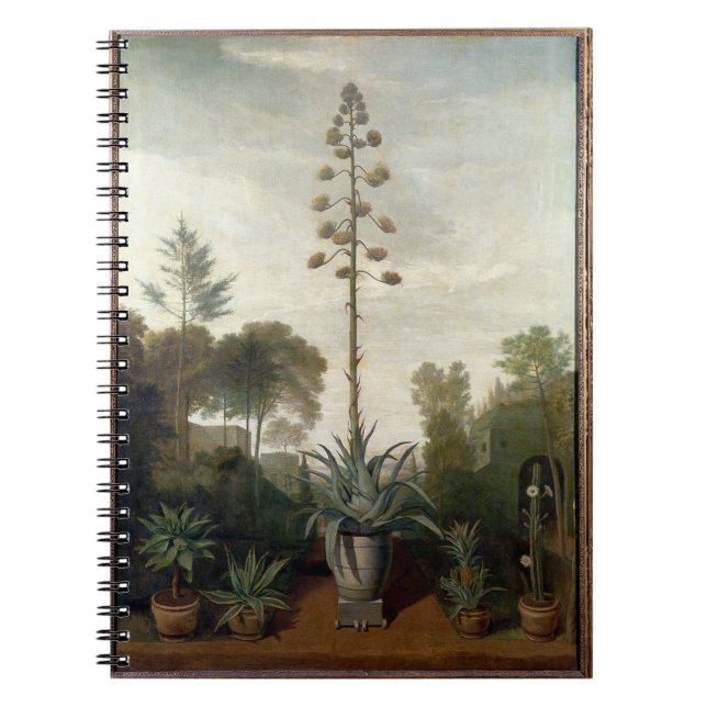 Cuaderno T33047 un jardín botánico (Frente)