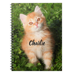 Cuaderno Tabby Cat Kitten, Naranja de Fluffy personalizado