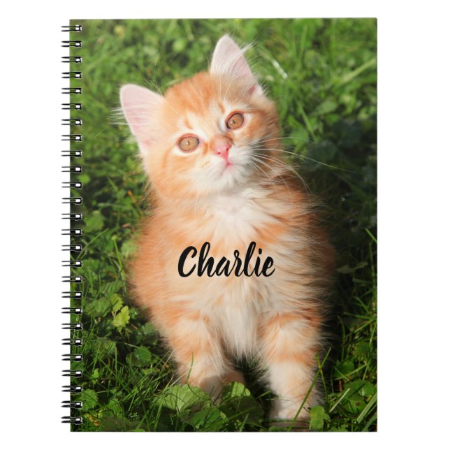 Cuaderno Tabby Cat Kitten, Naranja de Fluffy personalizado (Frente)