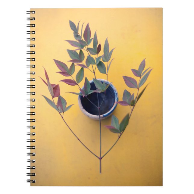 Cuaderno Tabla amarilla (Frente)