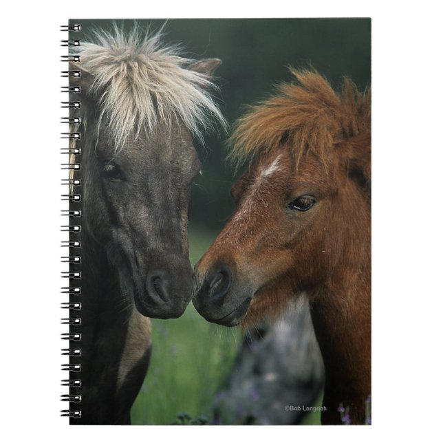 Cuaderno Tacto miniatura de los caballos (Frente)