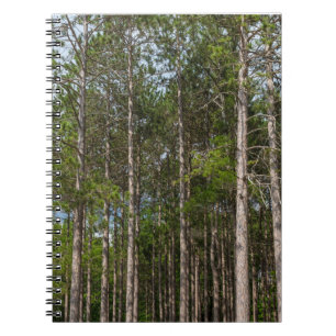 Cuaderno Tall Pines