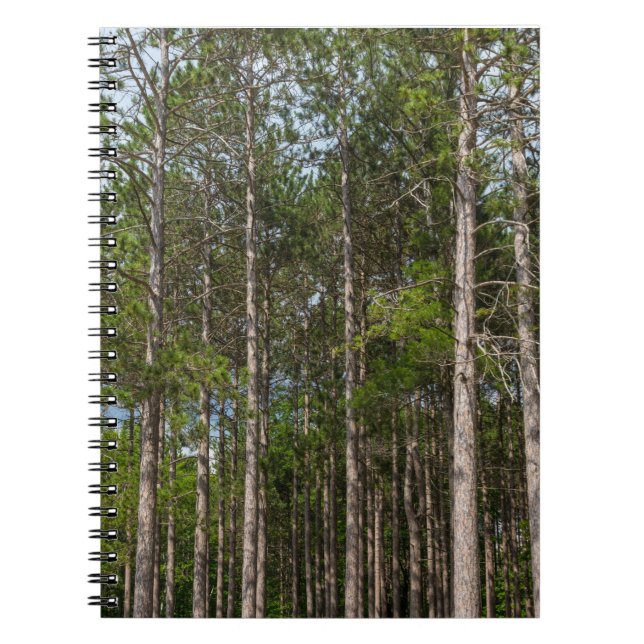 Cuaderno Tall Pines (Frente)