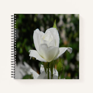 Cuaderno Tan puro...