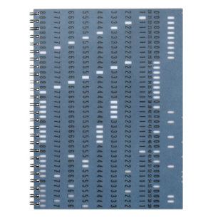 Cuaderno Tarjeta de punzonado vintage para computadora