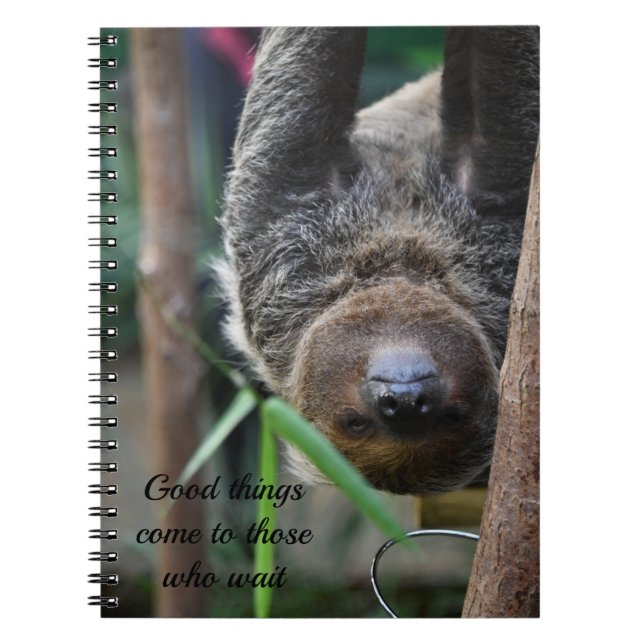 Cuaderno Tarjeta de Zoo Sloth Hanging Out de Edimburgo (Frente)