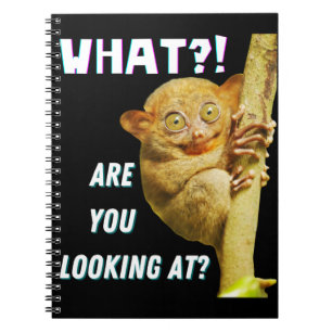 Cuaderno Tarsier Divertido de Ojos Grandes ¿Qué Estás Miran