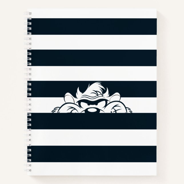 Cuaderno TAZ™ Ocultado en franjas (Anverso)