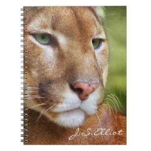 Cuaderno TCWC - Arte del león de montaña del puma
