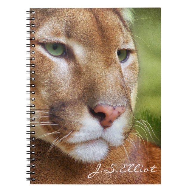 Cuaderno TCWC - Arte del león de montaña del puma (Frente)