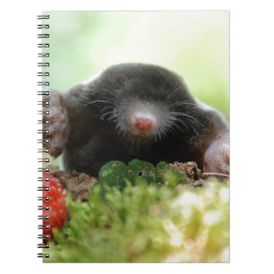 Cuaderno '¿Te casarás conmigo?'