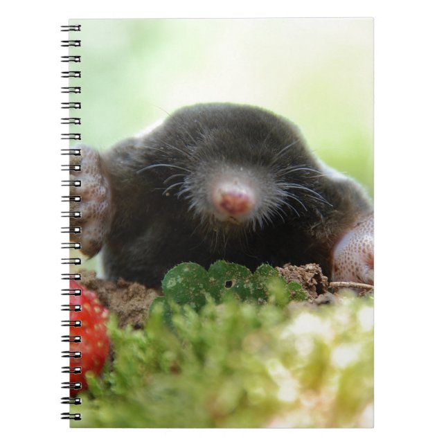 Cuaderno '¿Te casarás conmigo?' (Frente)