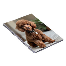 Cuaderno Teacup Poodle 2
