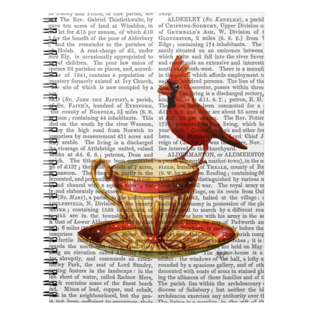 Cuaderno Teacup Y Cardenal Rojo (Frente)