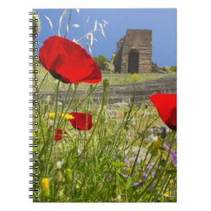 Cuaderno Teatro antiguo en la Acrópolis de Pérgamo