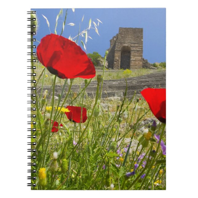 Cuaderno Teatro antiguo en la Acrópolis de Pérgamo (Frente)