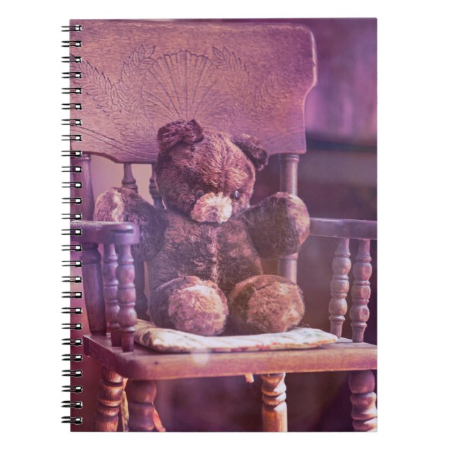 Cuaderno Teddy (Frente)
