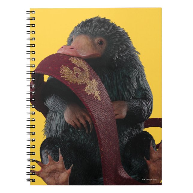 Cuaderno Teddy Con El Gráfico De Tie (Frente)