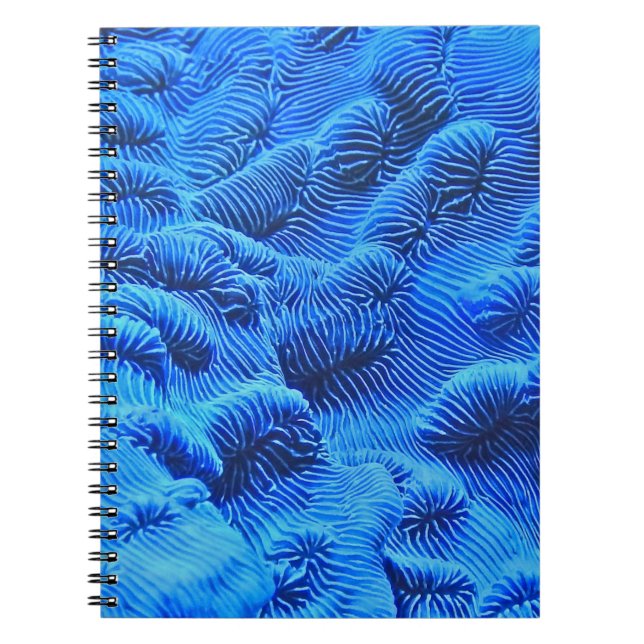 Cuaderno Tejido azul (Frente)