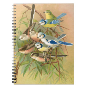 Cuaderno Tejido azul euroasiático y teta de cola larga, Ave