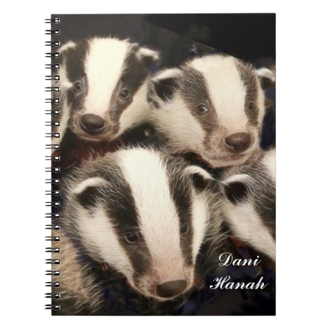 Cuaderno Tejón lindo Cubs (Frente)