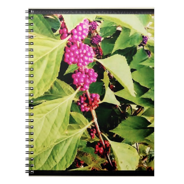 Cuaderno Tema de primavera (Frente)