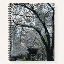 Temporada de Sakura en Shinjuku