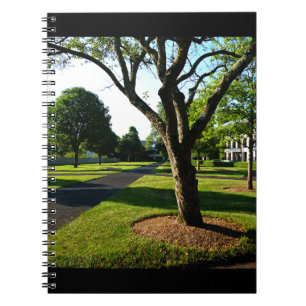 Cuaderno Temprana mañana en el Paddock