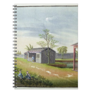 Cuaderno Tendiendo plantas de té (w/c en el papel)