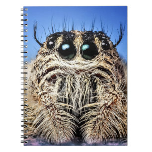Cuaderno ¡Tengo mis ojos en ti!