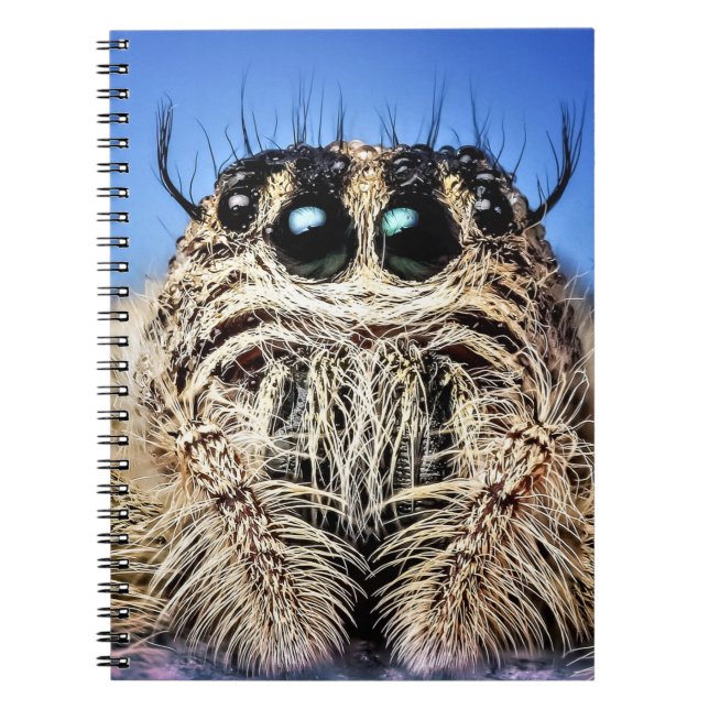 Cuaderno ¡Tengo mis ojos en ti! (Frente)