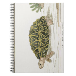 Cuaderno Tent Tortoise | Turtle Beach Sea Animal