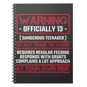 Cuaderno Tercer cumpleaños, adolescente oficial, niño de 