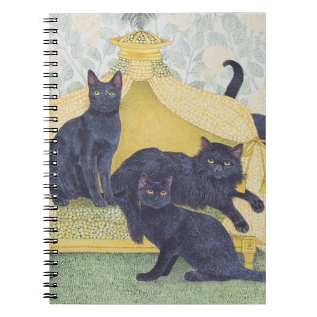 Cuaderno Terciopelo negro (Frente)