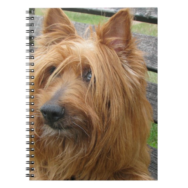 Cuaderno terrier australiano en banco.png (Frente)
