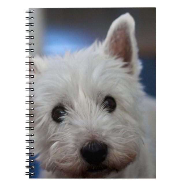 Cuaderno Terrier blanco y occidental extremadamente lindo (Frente)