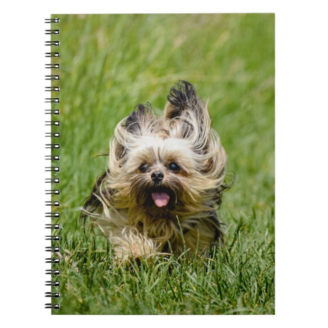 Cuaderno Terrier de Cute Yorkshire corre por la hierba (Frente)