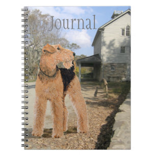 Cuaderno Terrier galés en el patio del establo