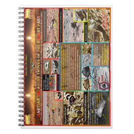 Cuaderno Tesoro marciano