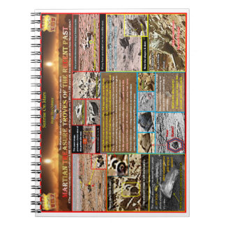 Cuaderno Tesoro marciano