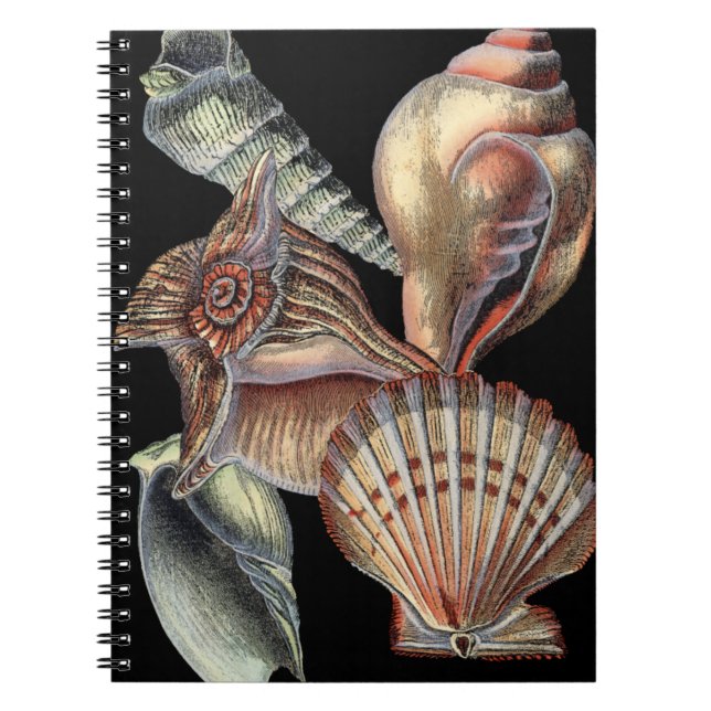 Cuaderno Tesoros del mar (Frente)
