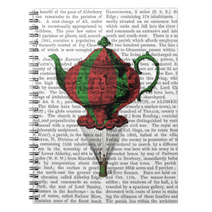 Cuaderno Tetera Voladora 2 Roja y Verde